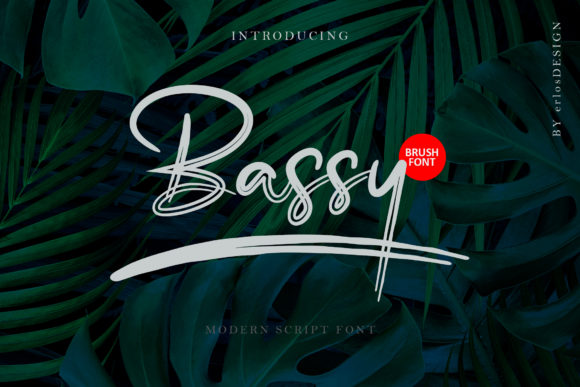 Bassy: A Script Font with Modern Elegance
