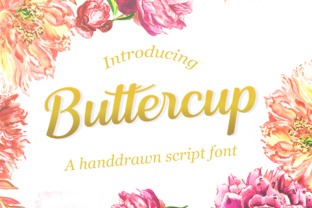 Buttercup Script: A Font That Adds Instant Warmth