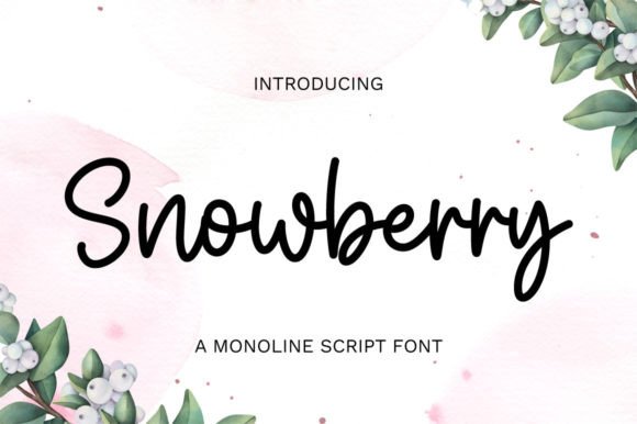 Discovering Snowberry: The Delicate Script Font for Modern Design