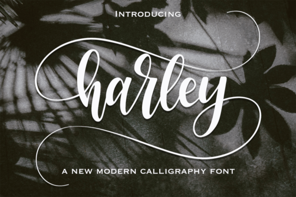 Harley: The Modern Calligraphy Font for Authentic Branding