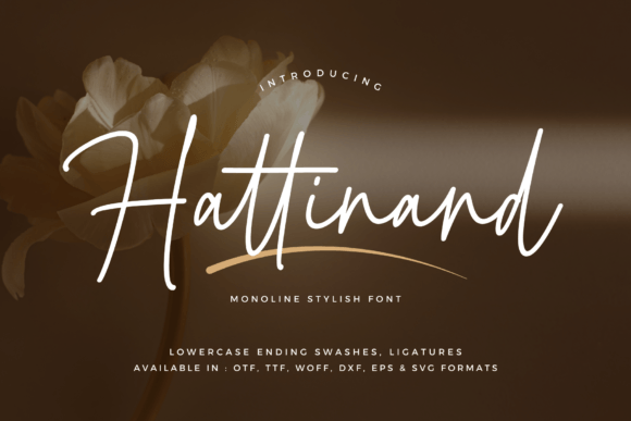 Hattinand: Crafting Visual Stories with a Modern Script
