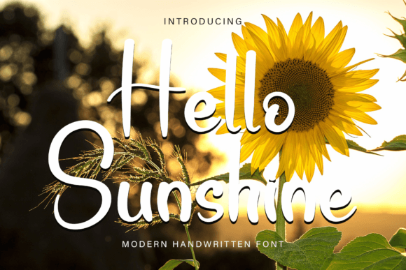 Hello Sunshine: A Font That Feels Like a Warm Day